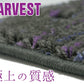 レクサスLS LS500 500h フロアマット（前部・後部座席分５枚物）【ハーベスト２色】高級生地◆車種別設計 カーマット 車 フロアカーペット